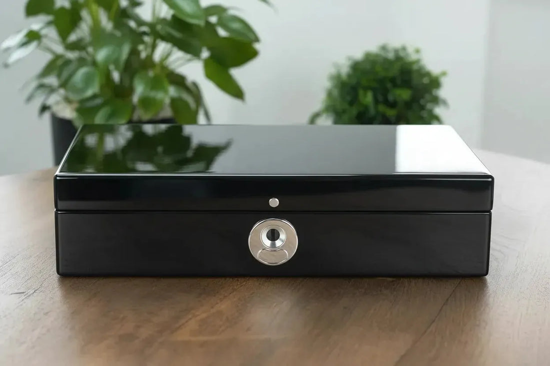 Tempus Watch Box vs Alternatives: Elevating Timeless Elegance