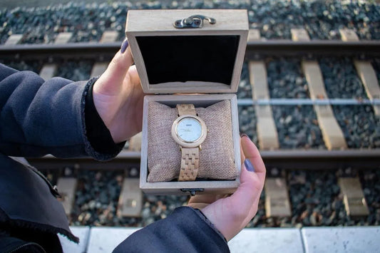 A Beginner's Guide to Choosing the Right Tempus Watch Box for Your Needs